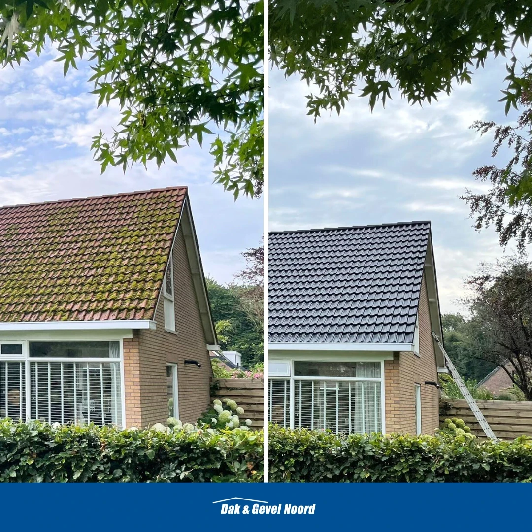 Stadskanaal betonpannen nieuwe dakcoating - een snelle en betaalbare optie voor een nieuw dak