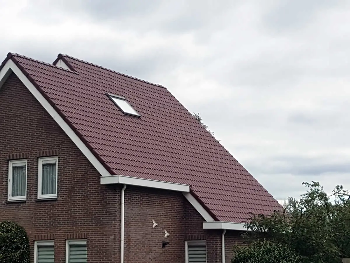 Dakcoating op woning in Nieuw Buinen